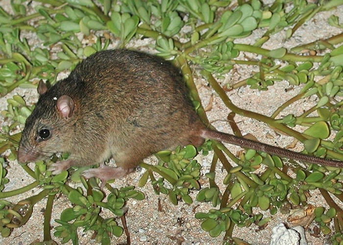 ��Ϣ�ڰ��޴󱤽�������ɺ����β��ȷ��������仯���� �ɲ���������