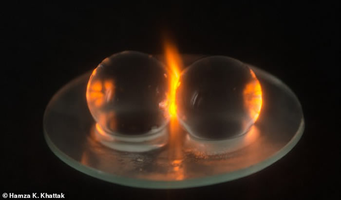 微波炉中两颗葡萄会变火球?科学家炸了12台微波炉终解多年谜题!