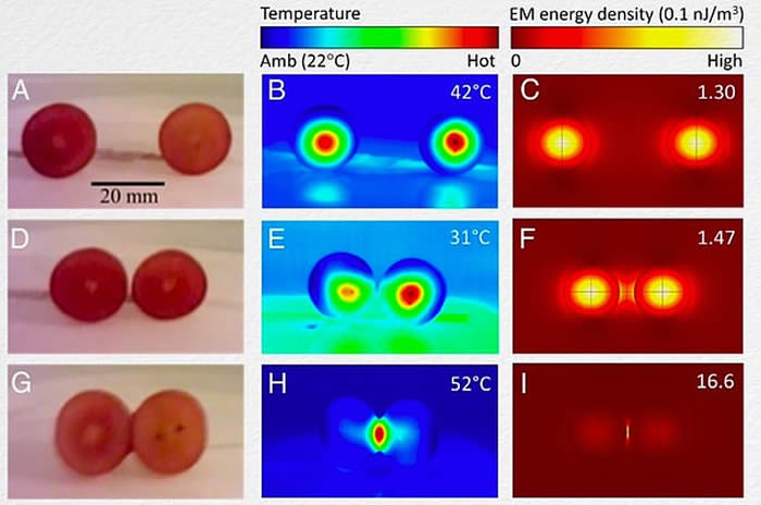 微波炉中两颗葡萄会变火球?科学家炸了12台微波炉终解多年谜题!