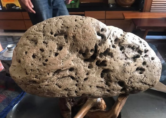 �������ں���ʰ������ʯ���������������ʾ�����