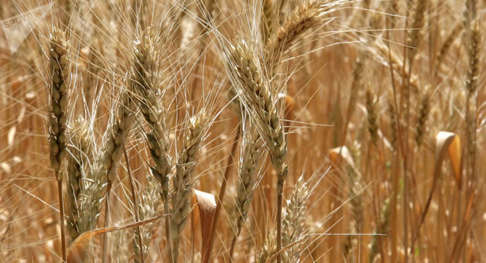 ҽѧ־ѧȫʳʹΰս37%