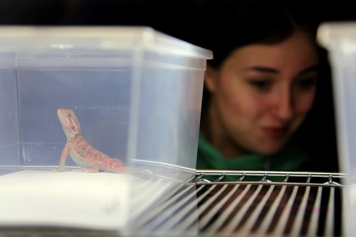 һ���������������ڵ�Ŀ�⡣