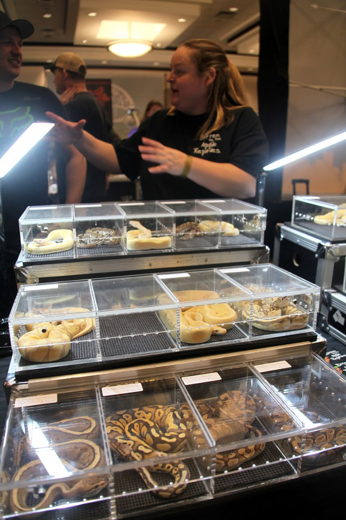 ������װ�и����ߣ������ڹ��͡�