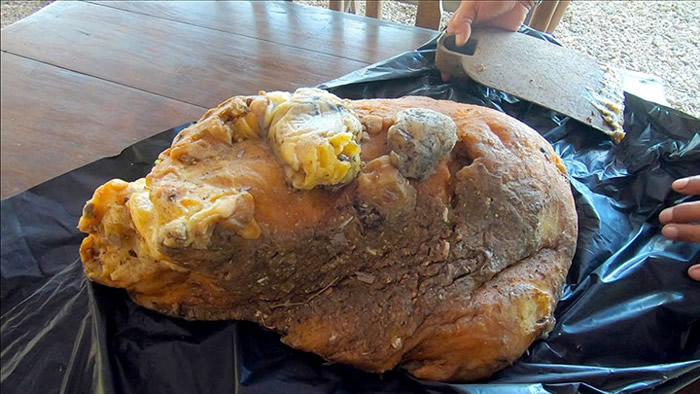 巨石疑为龙涎香。