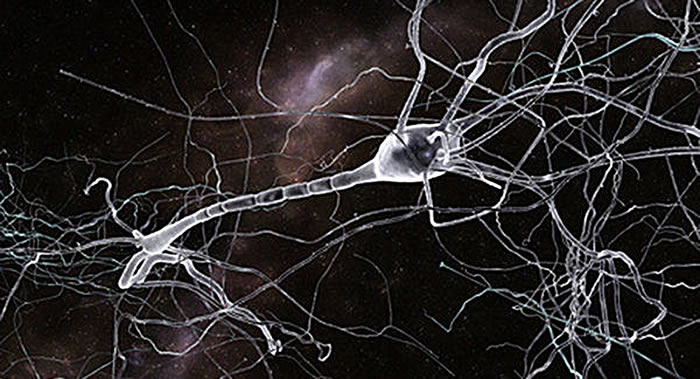 жѧҳɹâʹ徧ṹ ֢ҩ