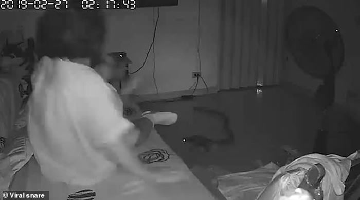 睡梦中痛醒!泰国大蟒蛇晚上滑进房里咬住75岁老妇小腿
