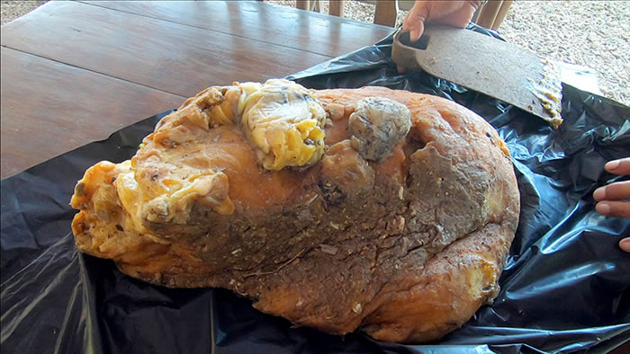 泰国苏美岛酒吧老板在海边捡到金黄色石头 上网一查发现可能是抹香鲸呕吐物“龙涎香”