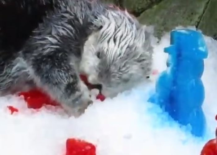 �������ݳ�̲ˮ���ȫ������������Ϸ���̡ӭ��22������