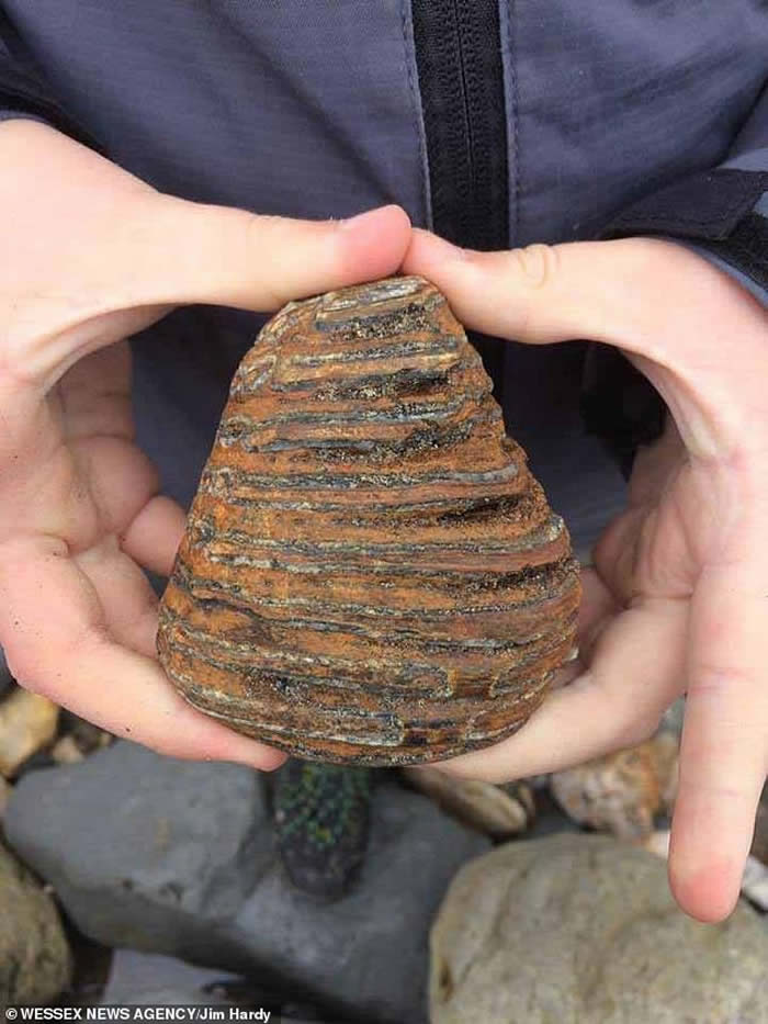 Ӣ��8�꿼�Ű������ڲ�é˹��̲ɢ��ʱ�������������ݻ�ʯ