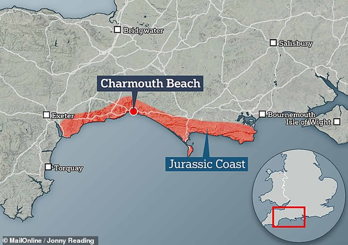 Ӣ��8�꿼�Ű������ڲ�é˹��̲ɢ��ʱ�������������ݻ�ʯ