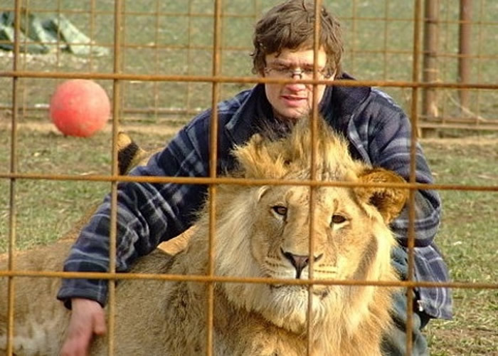 捷克男子寓所后花园圈养2只狮子 惨遭咬死