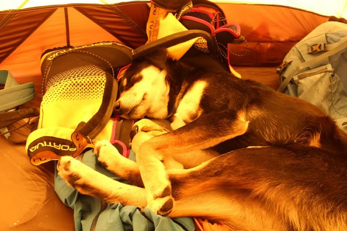 �����͵�ɽ��ͬ��ͬס��