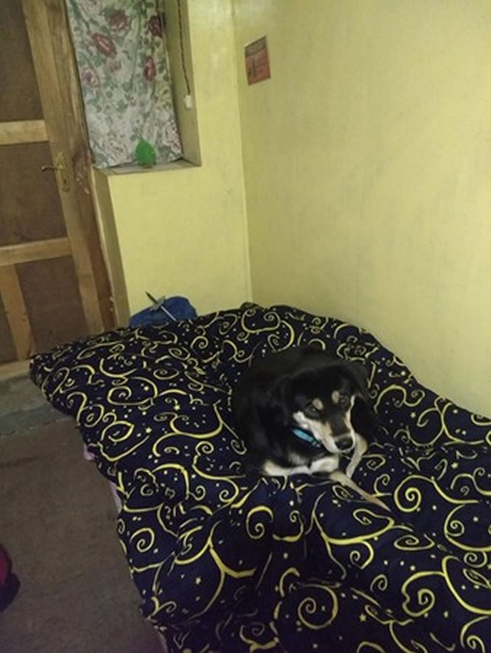 ÷�����ڸ����а�³���������Լ����������ҵ�һ����ů�ļҡ�