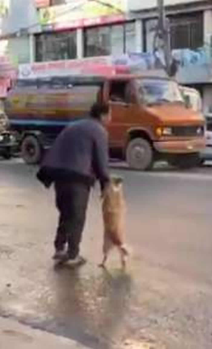 美国记者在尼泊尔首都加德满都拍到主人“手牵手”拖着小狗过马路的有趣一幕