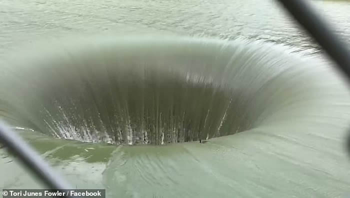 美国加州三藩市鸭子不幸被卷入贝耶萨湖“荣耀之孔” 最终逃过鬼门关