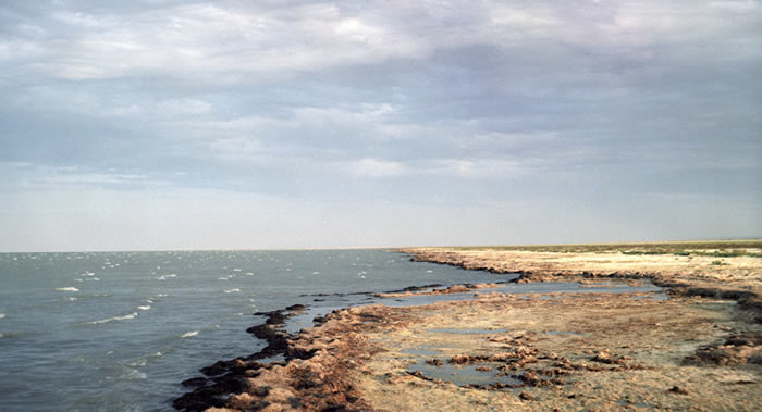 ��Ӱ����̺��ָ�����ʮ���ﺣ����