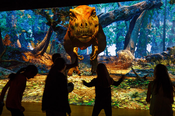 ŦԼ������Ȼ��ʷ����ݾٰ������չ��