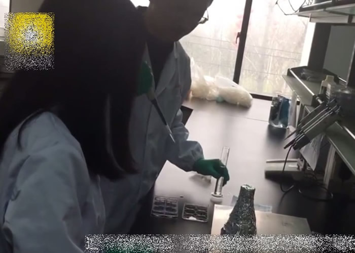 王小磊希望技术做到百分百可靠后,再作推广。