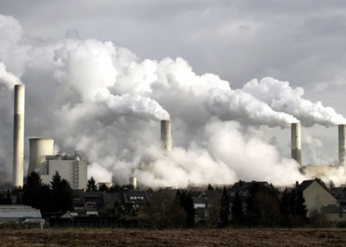 ������Ⱦÿ�굼��ȫ��ߴ�880�������� Ϊԭ�ȹ�������