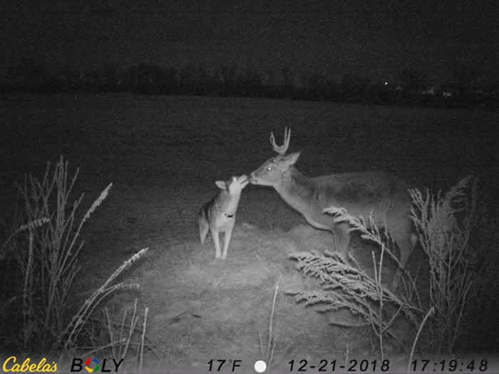 ôһֻĸʿʧ3 ˵Ƶŷԭ¹