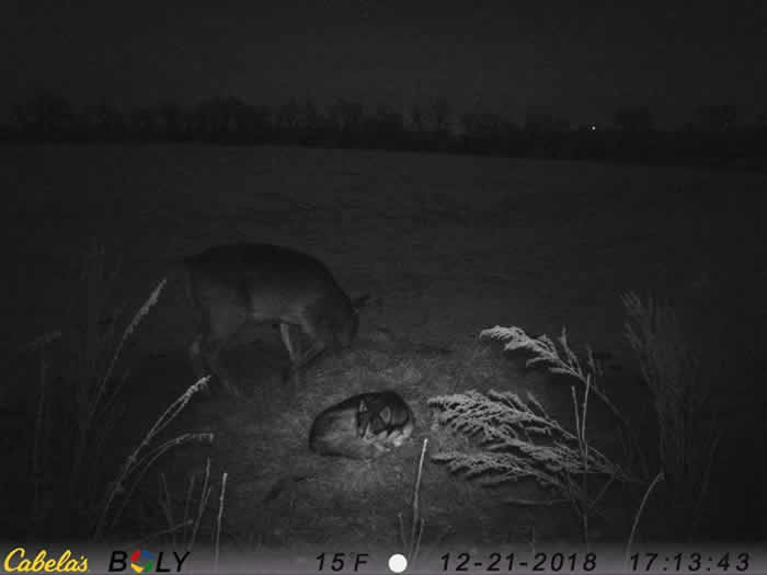 ôһֻĸʿʧ3 ˵Ƶŷԭ¹