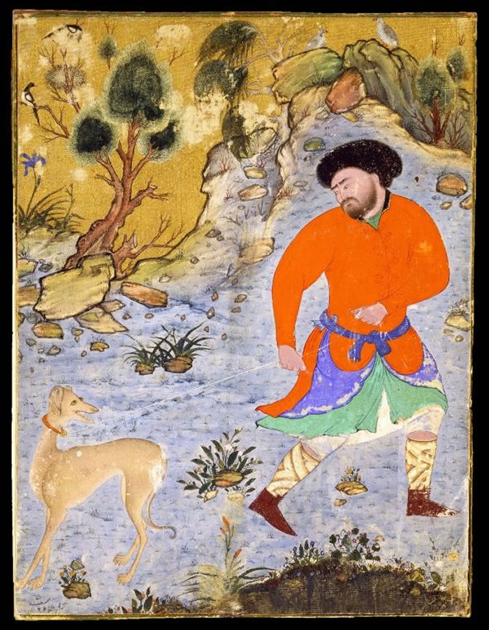 到了中世纪时期,细犬(sighthounds)──比如这幅16世纪波斯细密画(Persian miniature)上所描绘的萨路基猎犬(Saluki),受到亚洲