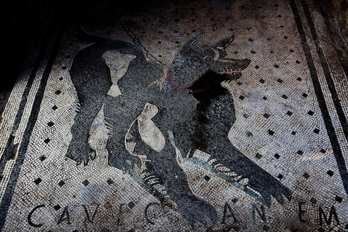 这幅位于庞贝城(Pompeii)一座建筑物入口处的马赛克 上标示着「Cave Canem」──拉丁文「小心恶犬」的意思。 它在公元79年的维苏威火山(Vesuv