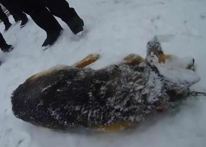 �������׸��н����ʹ��ɶ��������ҧ�����Ź�