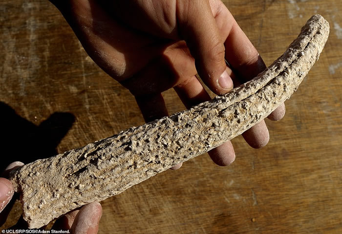 ��ʯ��ܿ�����Ӣ��������ɶ����� ���ص�ʷǰ���������ǰ���ۻ�