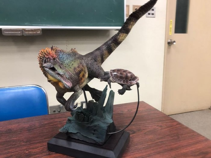 日本和歌山的汤浅町岸边挖掘出长1.4公分棘背龙牙齿化石