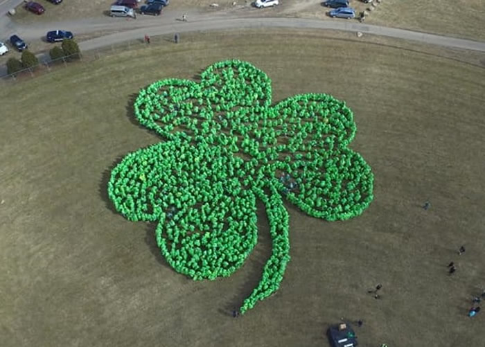 ʥգŦԼݰ1200Ҷͼ ¼