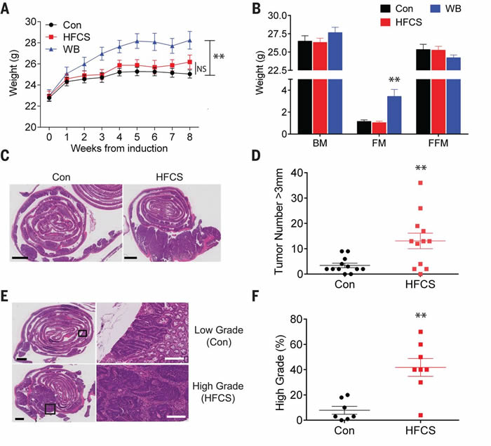 �߹��Ǻ��������ǽ����������Ѵ��ڵ����ڽ᳦ֱ����С�󳦵��ڵ���������