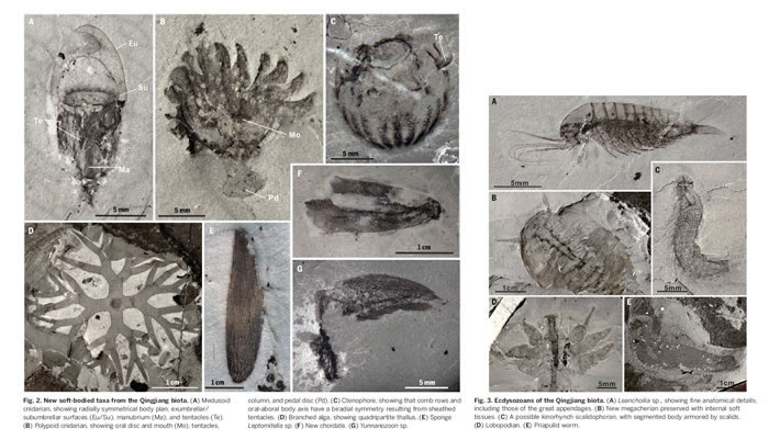 ר⣺й˲5.18ǰػʯ⡰彭Ⱥ