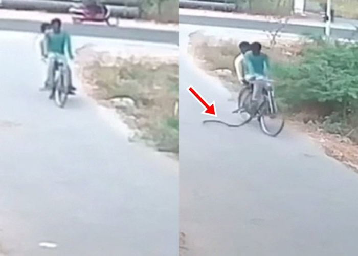 ӡ̩׼ɰ2ﵥӾ·۾ ŵûæ