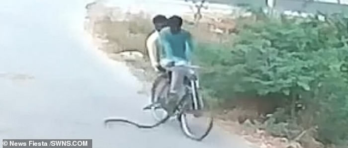 ӡ̩׼ɰ2ﵥӾ·۾ ŵûæ