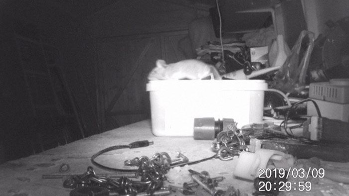 ���С����ݹ����Ӣ�����˷���ÿ�����������Լ���ɾ� ��Ƶ��ط��־���һĻ