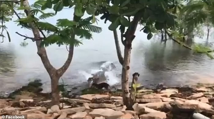 ʿʦºӱˣĹϮˮĺӰ