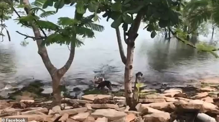 ʿʦºӱˣĹϮˮĺӰ