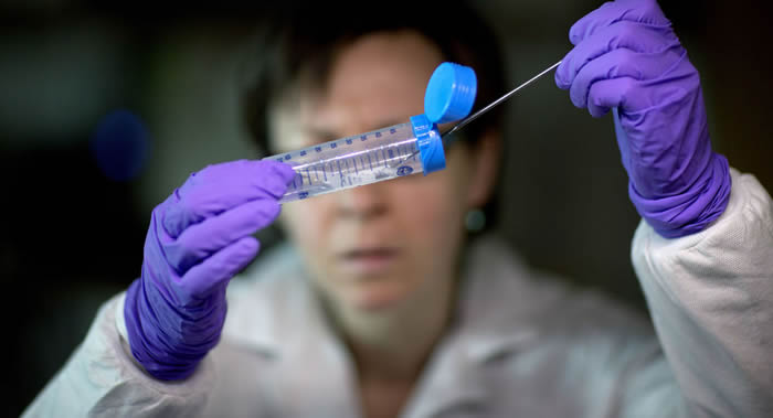 成功分离出我国第一个非洲猪瘟病毒毒株(Pig/HLJ/18)