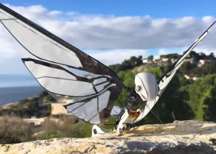 �������չ���ʦ������ƺ������������˻���MetaFly��