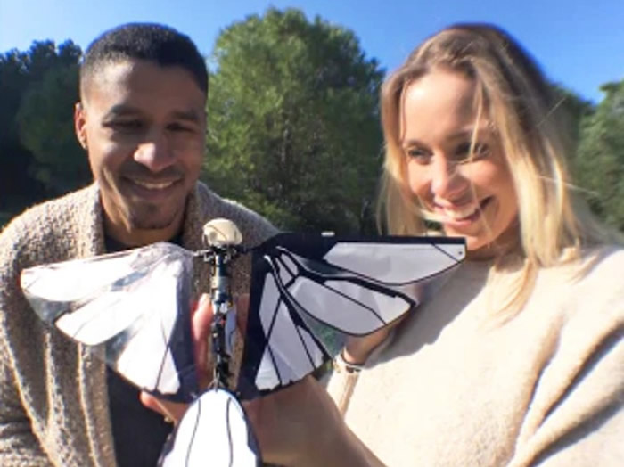 �������չ���ʦ������ƺ������������˻���MetaFly��