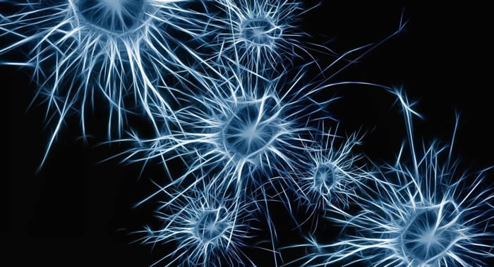 ����Ȼ•ҽҩ�����������˴�����Ȼ�������µ���Ԫ