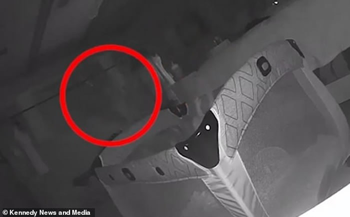 1岁女儿身上有不明抓痕 美国密西根州年轻妈妈装监控拍到“白色人影”