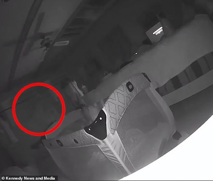 1岁女儿身上有不明抓痕 美国密西根州年轻妈妈装监控拍到“白色人影”