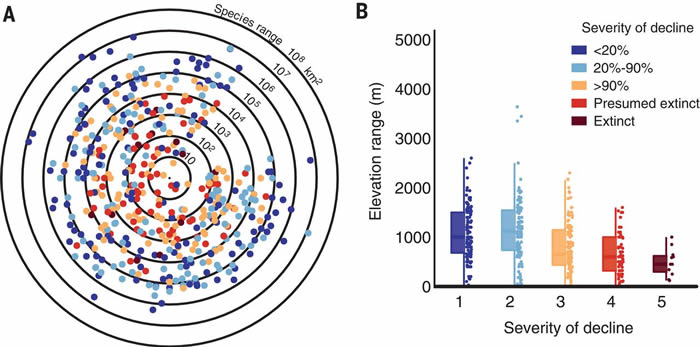 对两栖动物杀手“壶菌病”首次进行全球统计