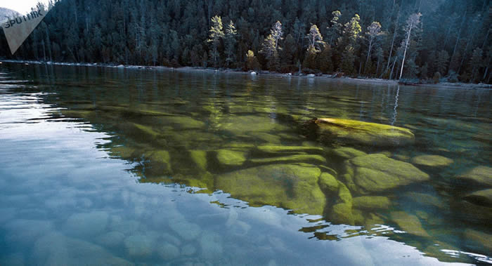 ����˹������ҵ��ϣ����5���ڻָ����Ӷ����������Ⱥ