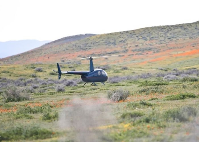 ���������������ڻ����������´�ֱ�������仨�������ͻ� �����ȱ������