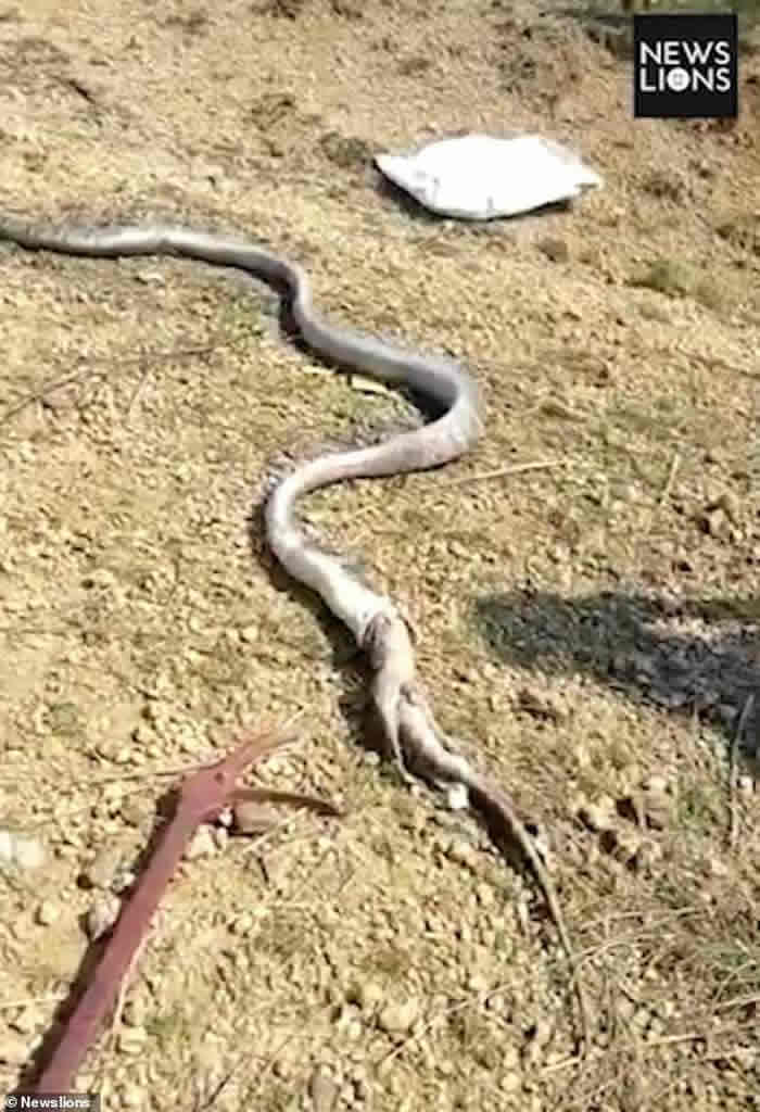 ӡȶŴܵŵ۾ߵ³С޴սƷ