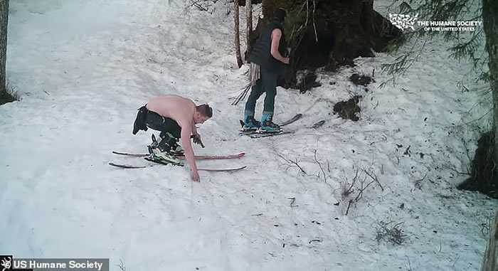 ������ħ�����ڰ���˹�Ӳ�����ɱ���ߺ���ĸ�� ��մ��Ѫˮ���ֻ���