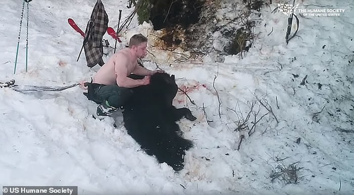 ������ħ�����ڰ���˹�Ӳ�����ɱ���ߺ���ĸ�� ��մ��Ѫˮ���ֻ���